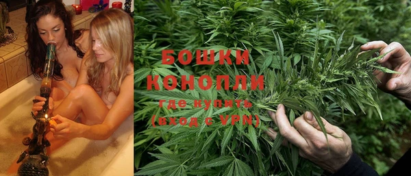 стафф Ладушкин