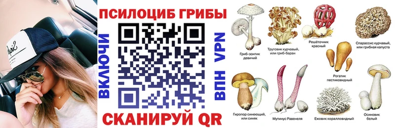 наркота  Мценск  Псилоцибиновые грибы Psilocybe 