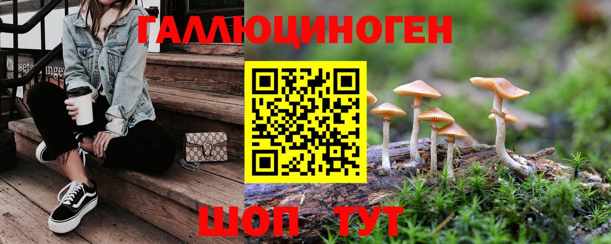 Псилоцибиновые грибы GOLDEN TEACHER Мценск